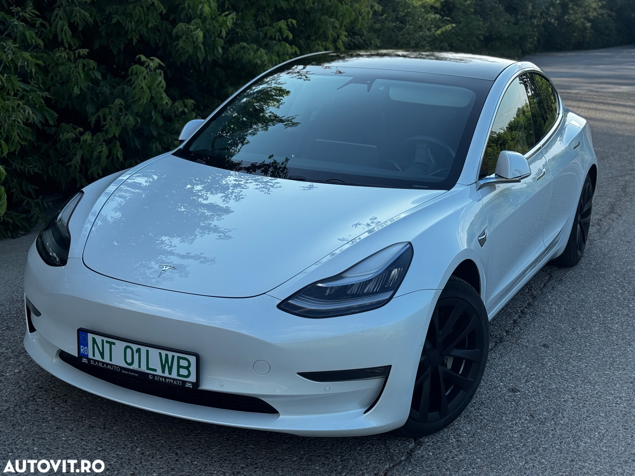 Tesla Model 3 AWD Dual Motor - 16