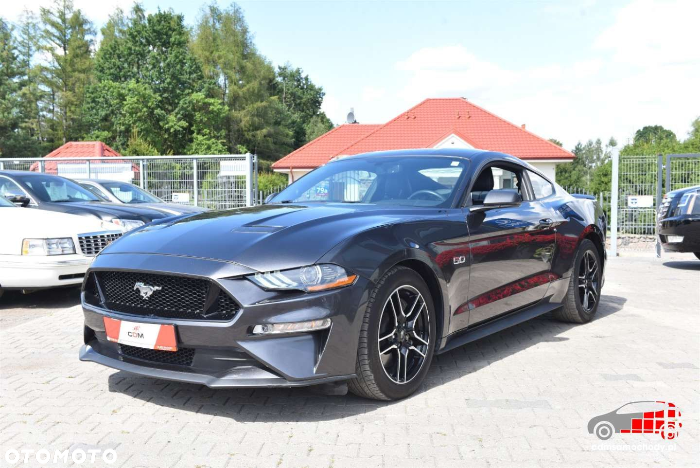 Ford Mustang 5.0 V8 GT - 6