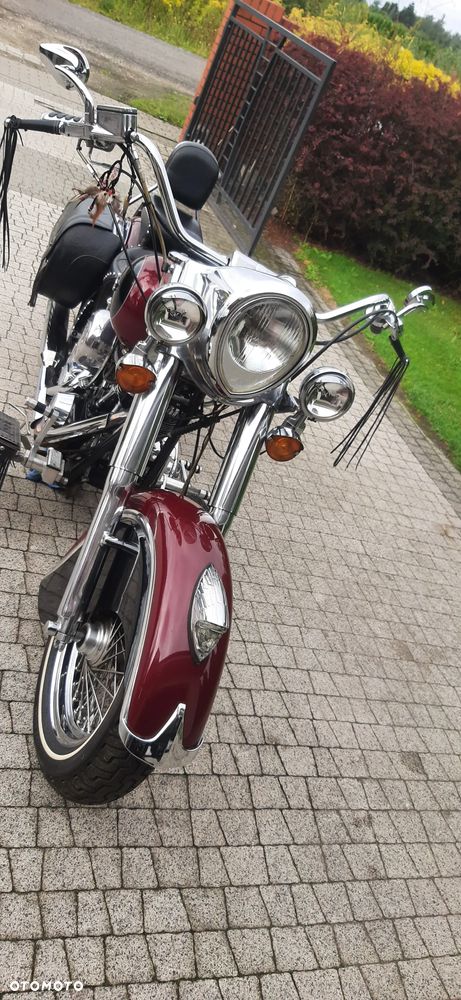Indian Chief - 2