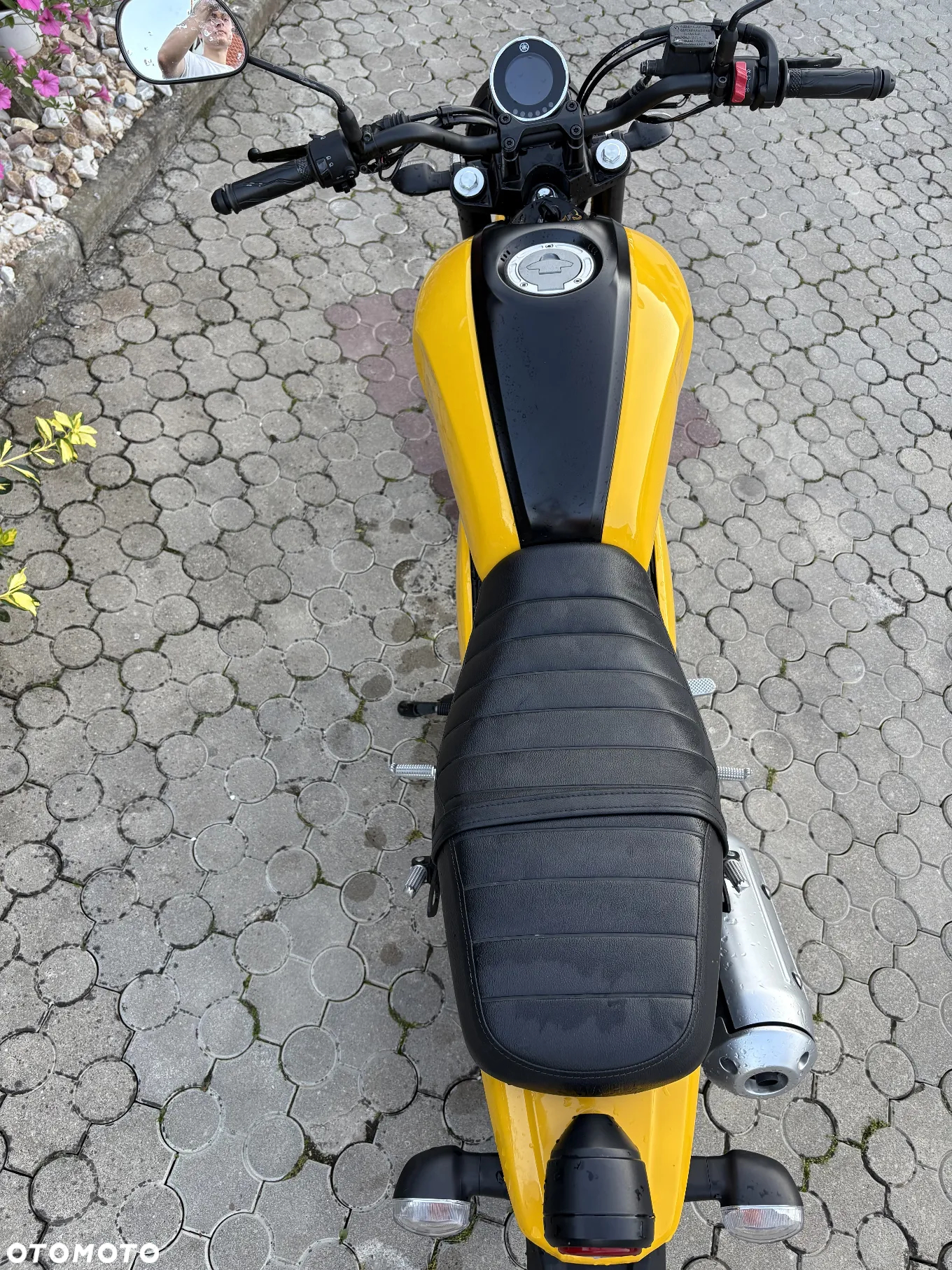 Yamaha XSR - 6