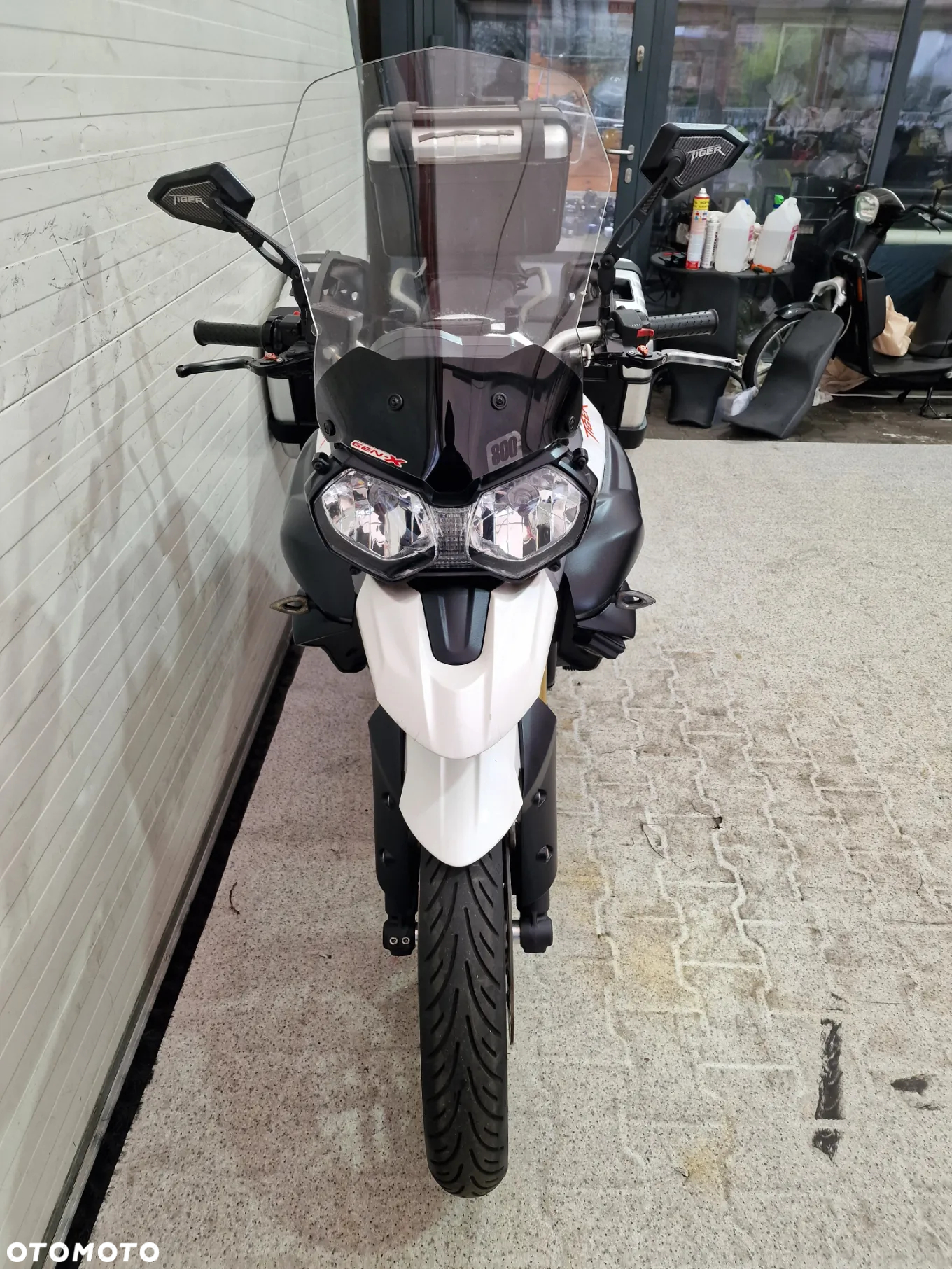 Triumph Tiger - 14