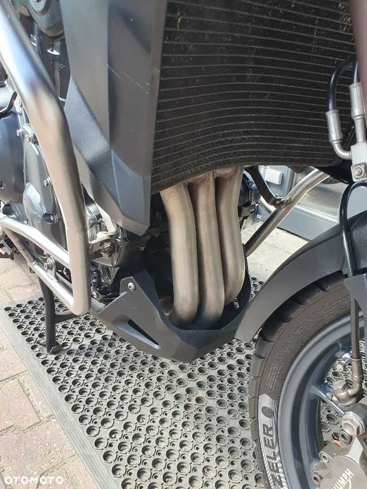 Triumph Tiger - 19