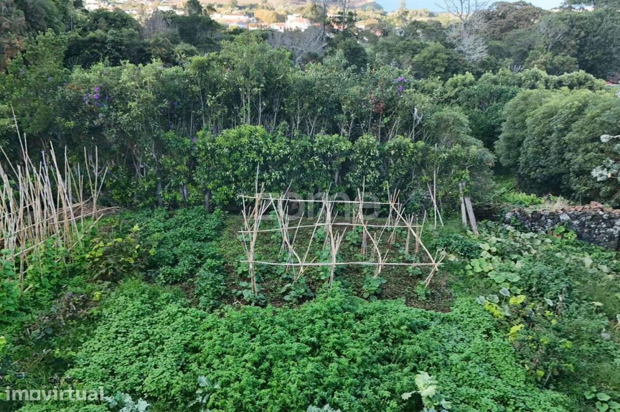 Terreno Rústico com Potencial Urbanizável – Capelas, Ponta Delgada - Grande imagem: 3/15