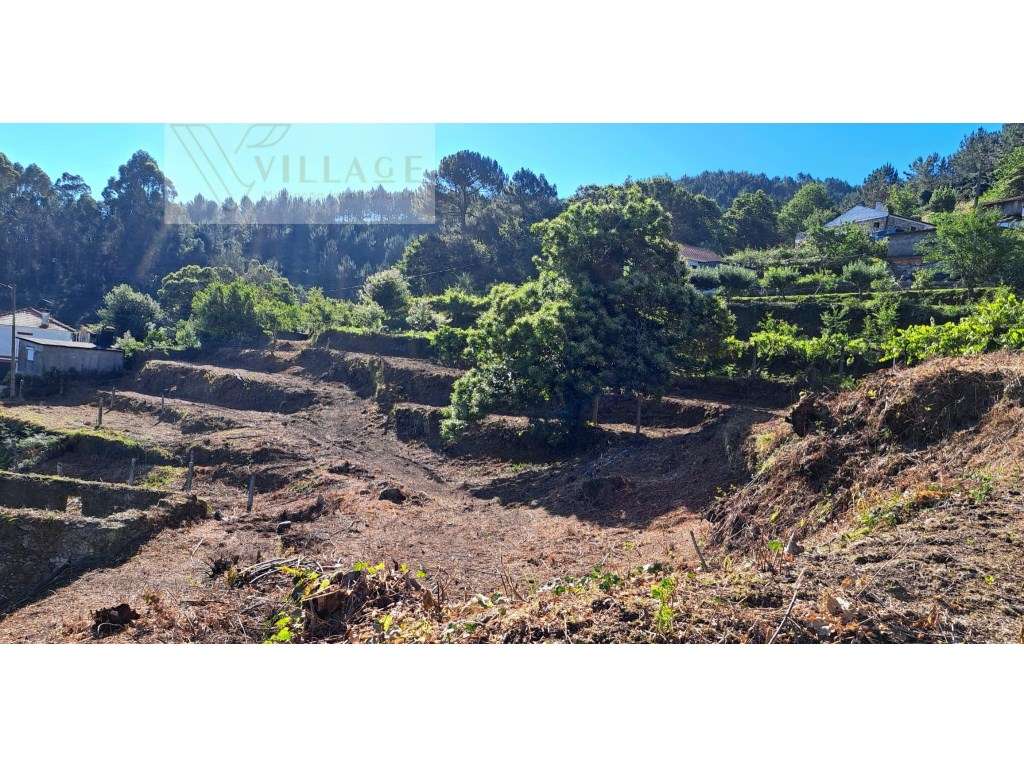 Terreno - Grande imagem: 2/10