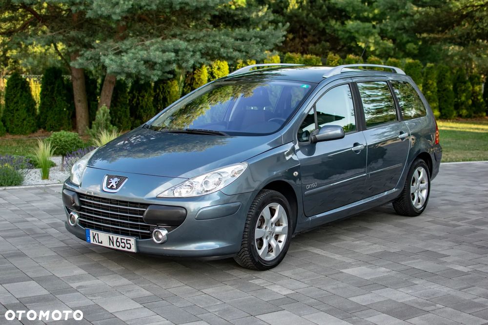 Peugeot 307 - 8