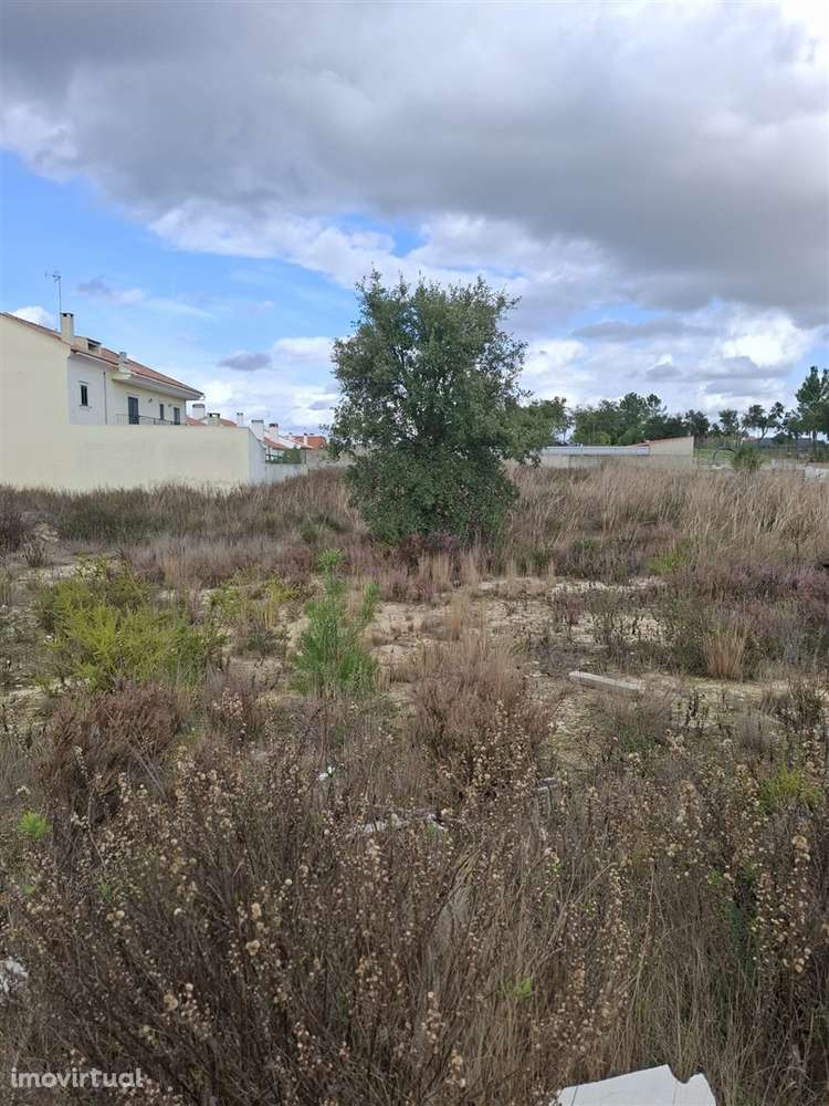 Lote de Terreno  Venda em Vendas Novas,Vendas Novas - Grande imagem: 3/4