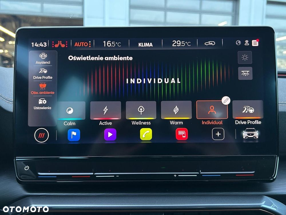 Cupra Formentor 2.0 TSI 4Drive DSG - 33