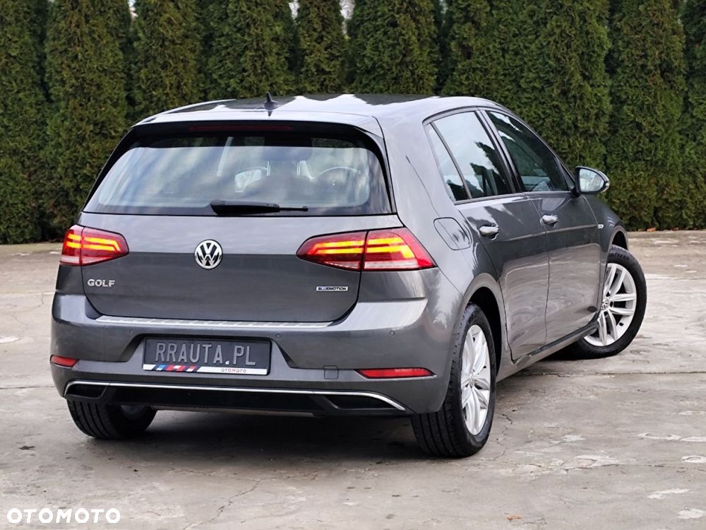 Volkswagen Golf - 33
