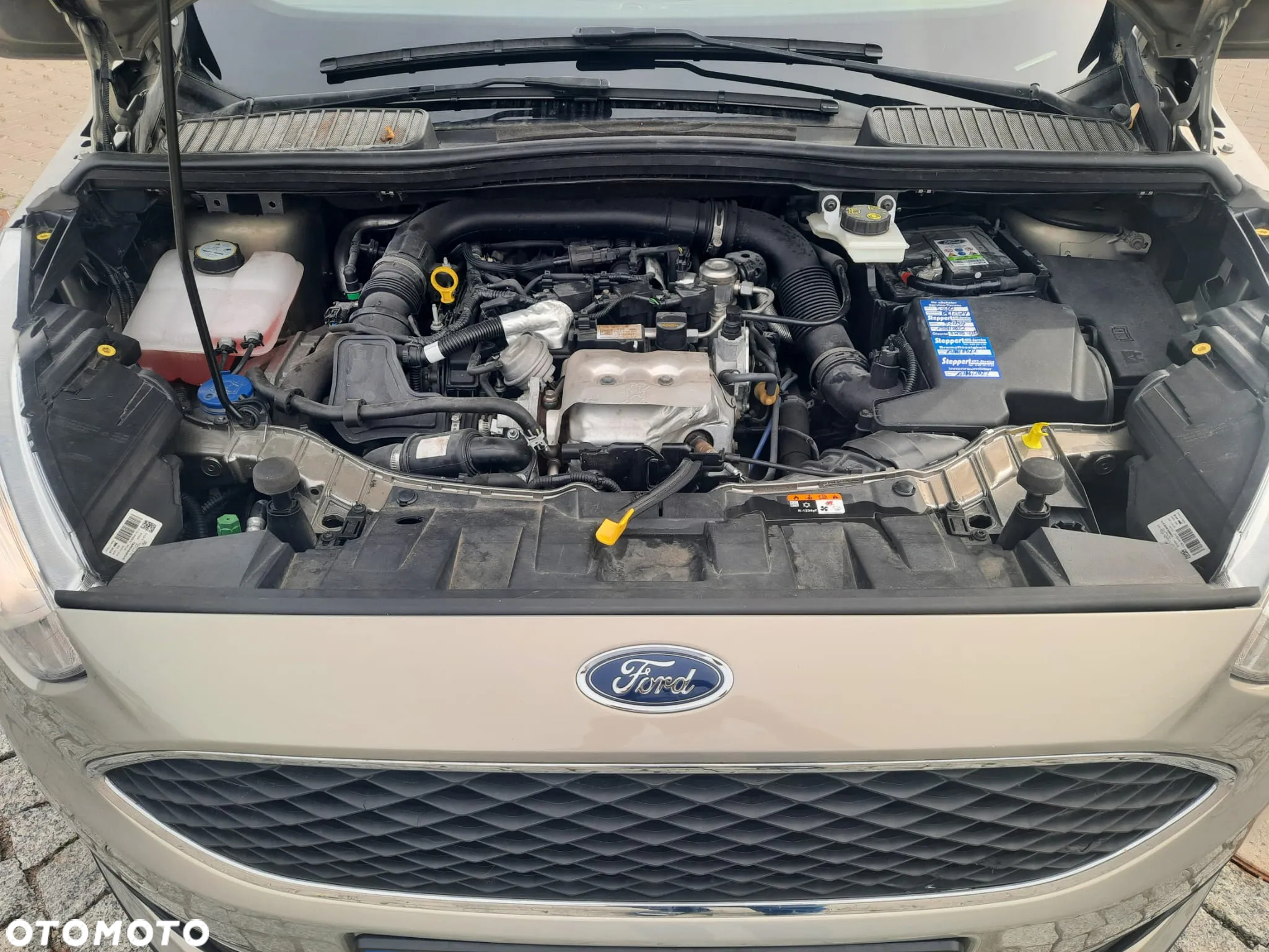 Ford C-MAX 1.0 EcoBoost Titanium ASS - 14