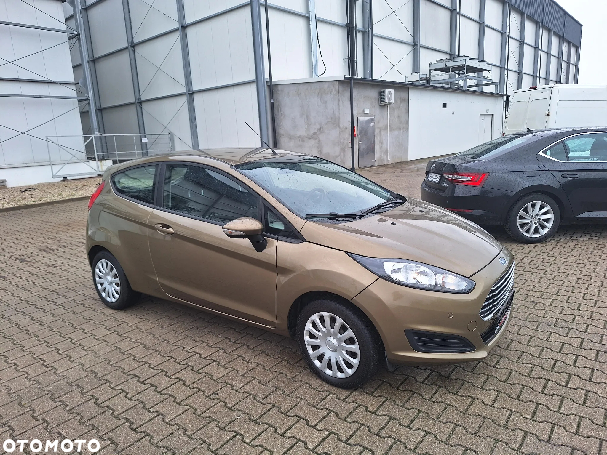 Ford Fiesta 1.25 Gold X - 10