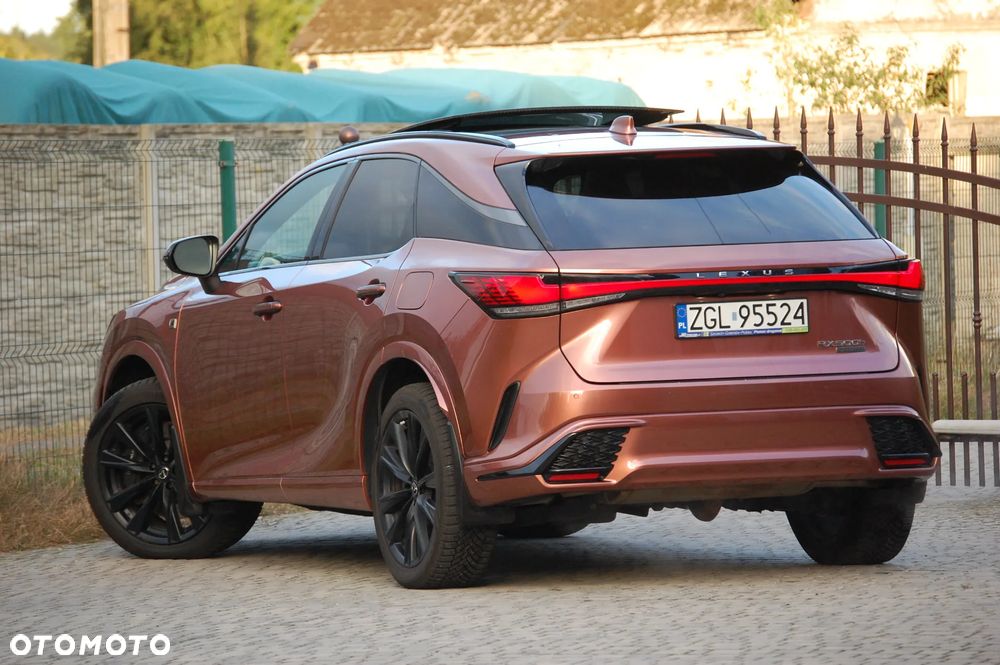 Lexus RX - 13