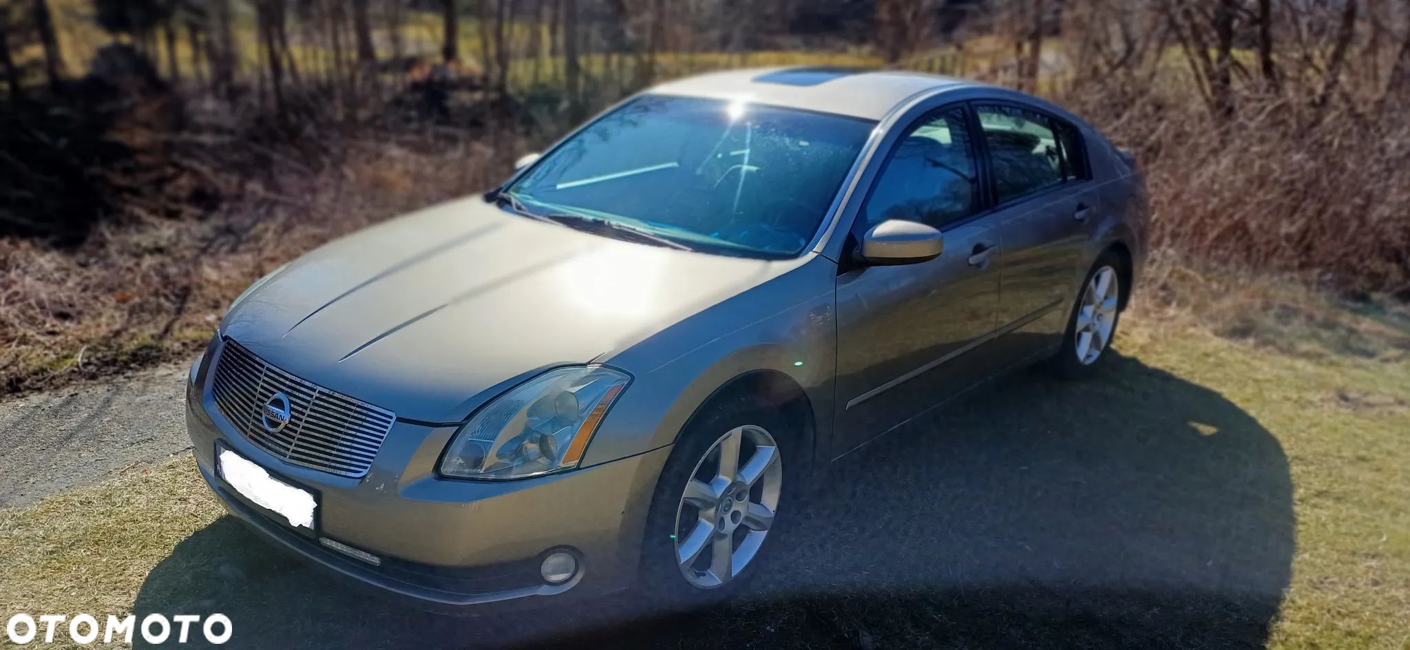 Nissan Maxima 3.5 SE - 1