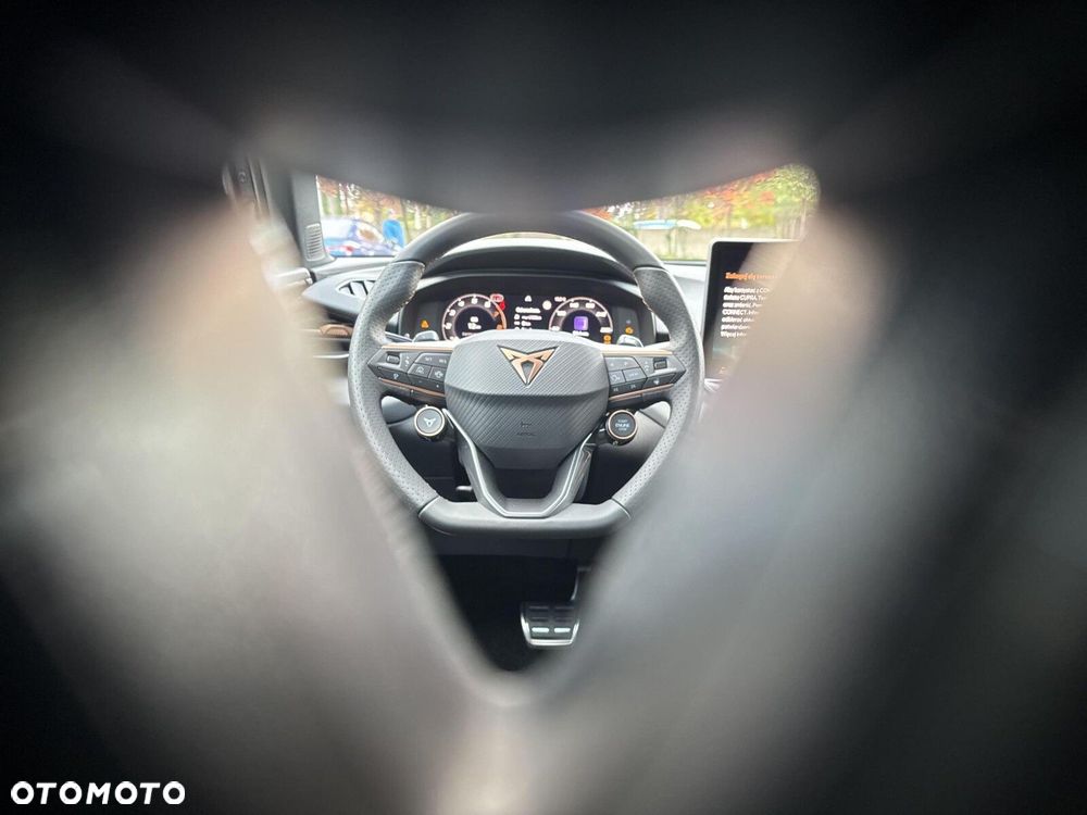 Cupra Terramar - 18