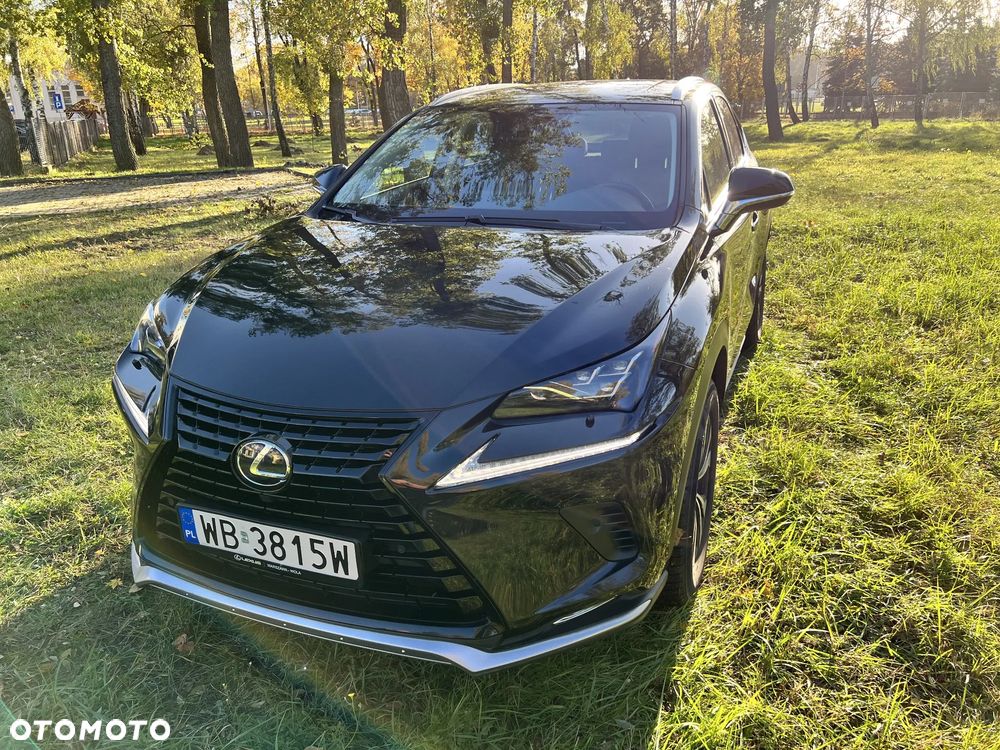 Lexus Nx 2021 photo 5