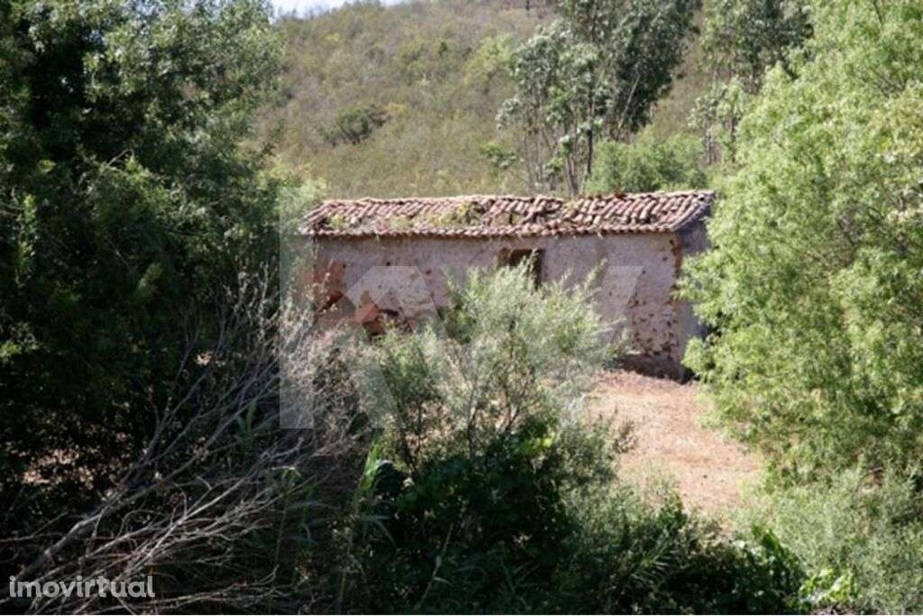 Prédio misto - Serrado - Grande imagem: 2/10