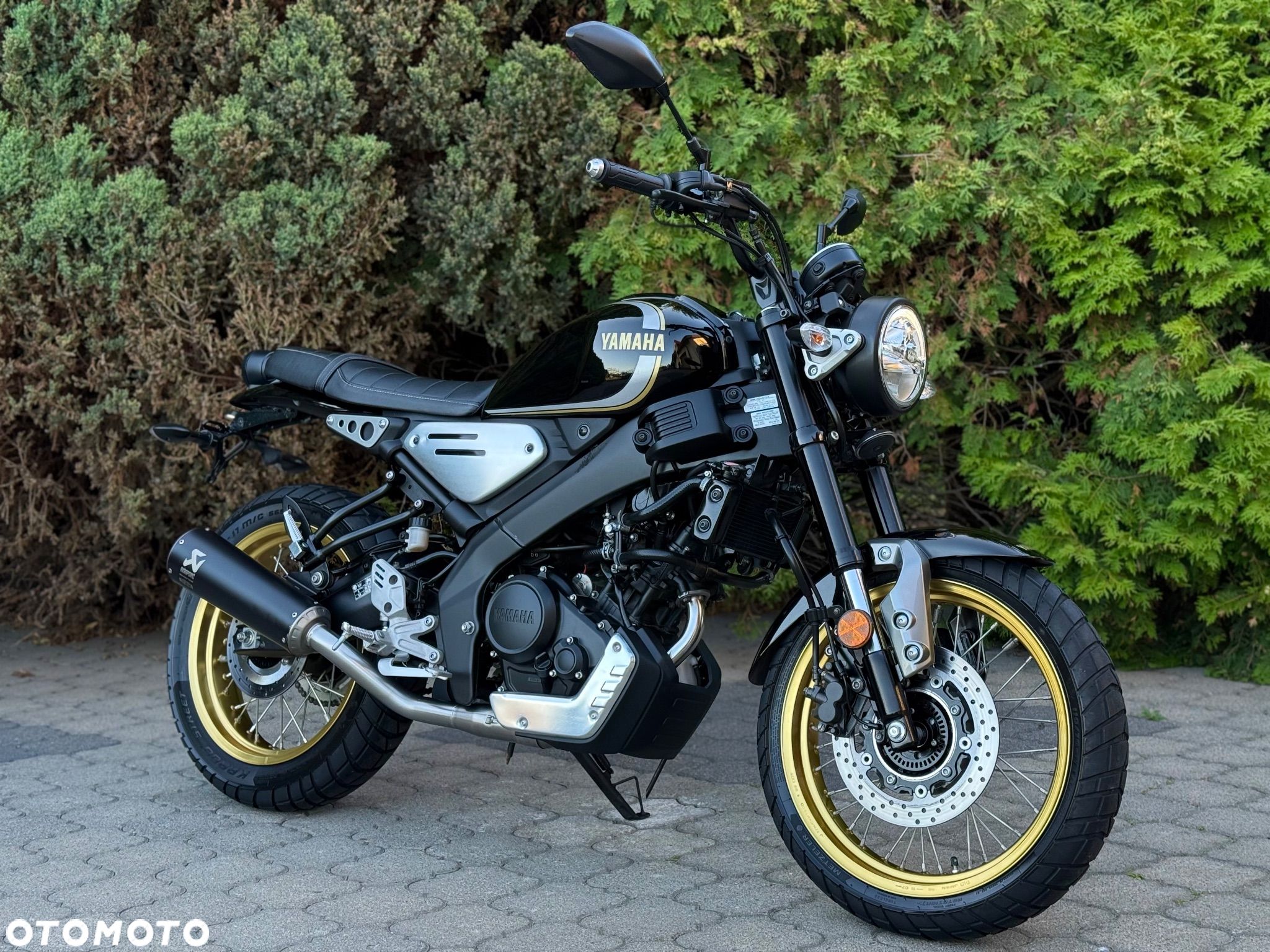 Yamaha XSR - 1