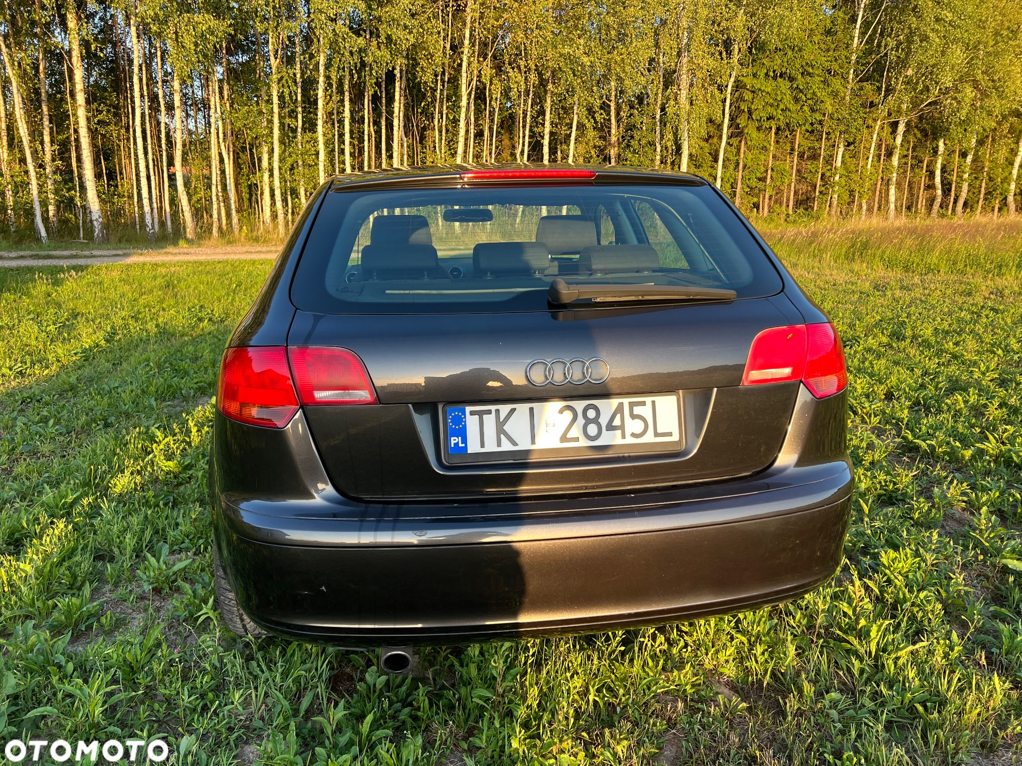 Audi A3 1.6 Sportback Ambiente - 6