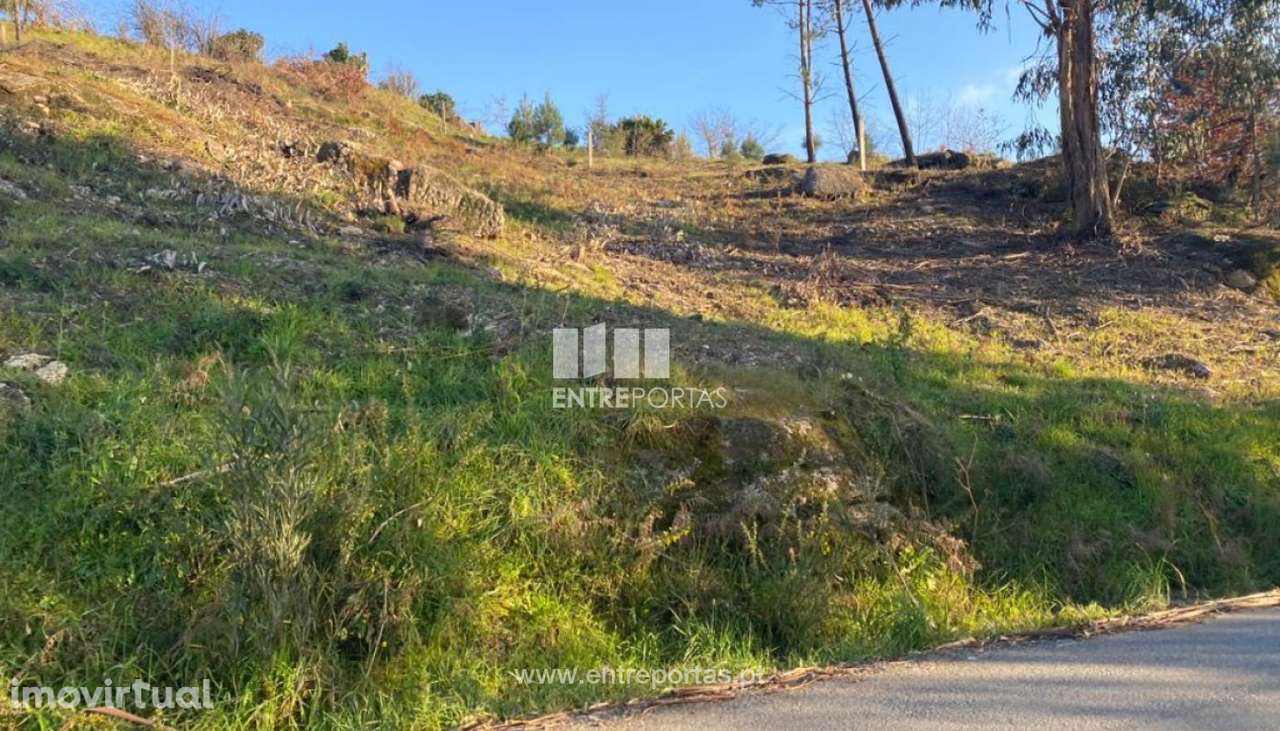 Venda Terreno, Soalhães, Marco de Canaveses - Grande imagem: 4/29