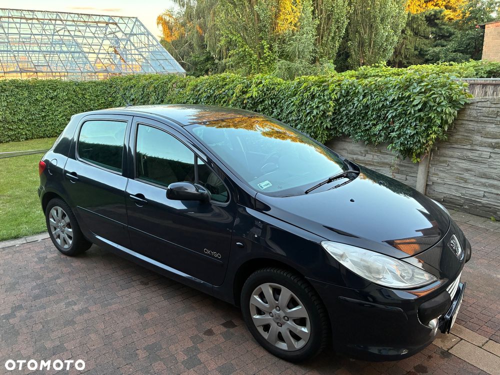 Peugeot 307 1.6 HDI Oxygo - 1
