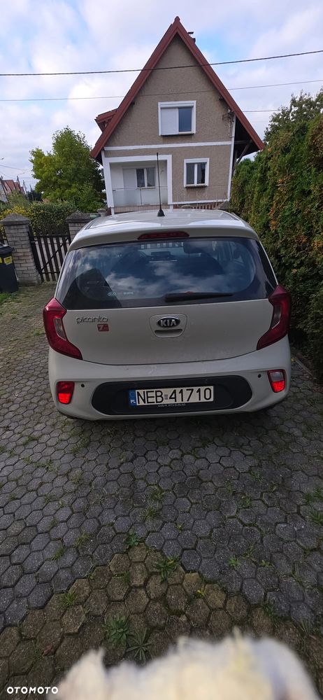 Kia Picanto 2017 photo 3