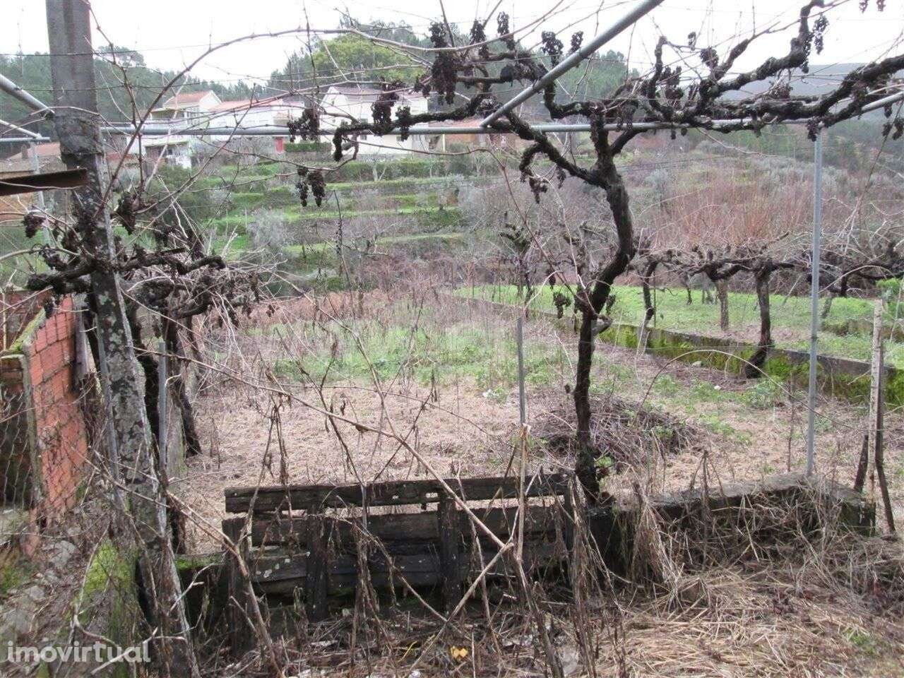 Moradia T2 / Fundão, Enxabarda - Grande imagem: 4/6