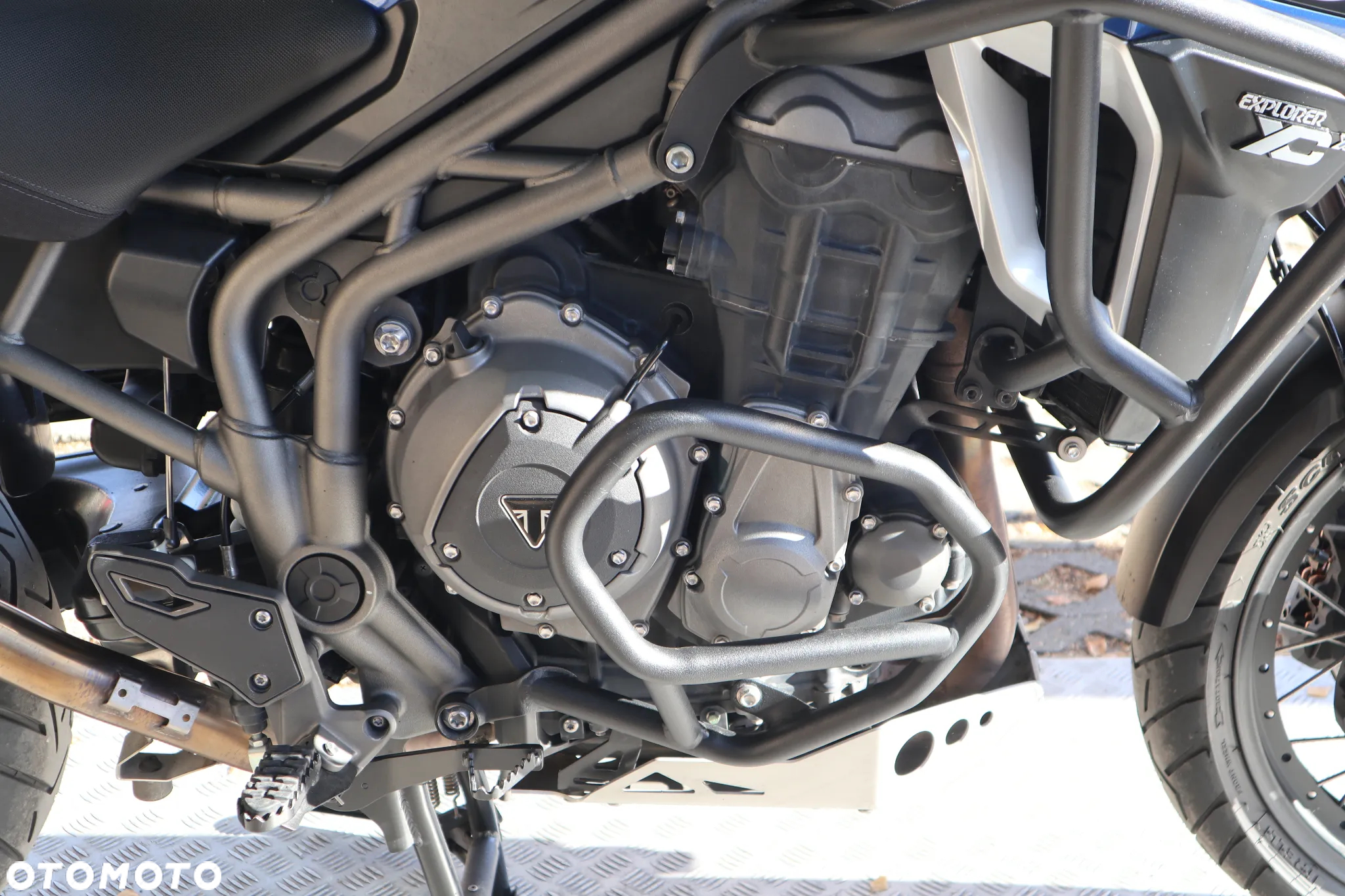 Triumph Tiger - 9