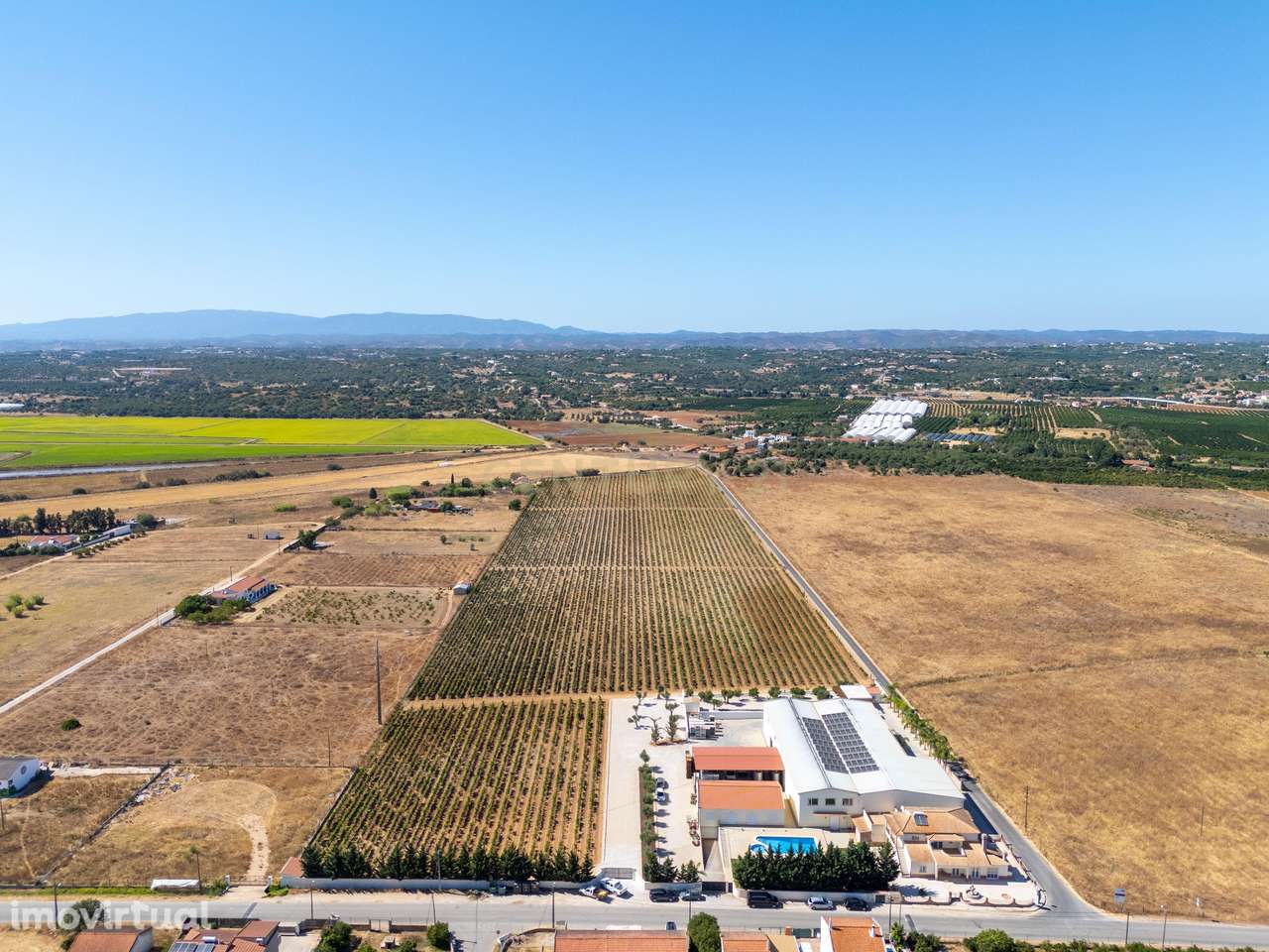 Herdade Vitivinícola de Excelência no Coração do Algarve - Grande imagem: 3/60
