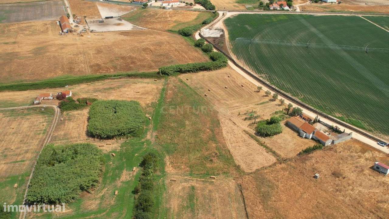 Terreno Rústico em Alcochete  com 5000 m2 – Natureza,  com Potencial - Grande imagem: 5/9