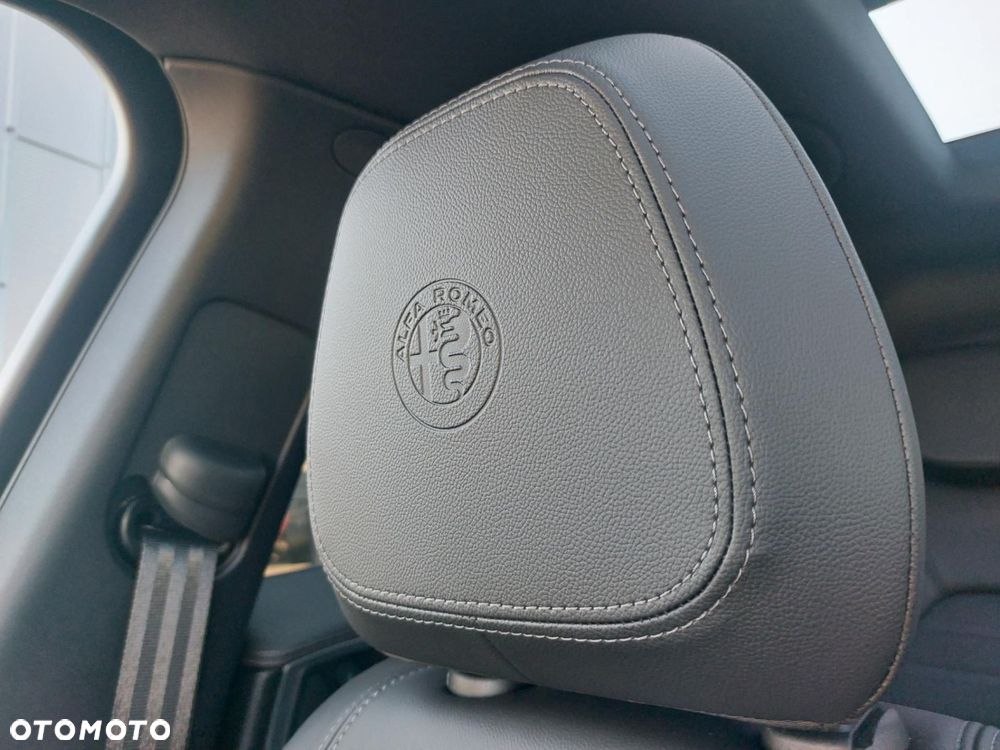 Alfa Romeo Stelvio 2.0 Turbo Veloce Q4 - 30