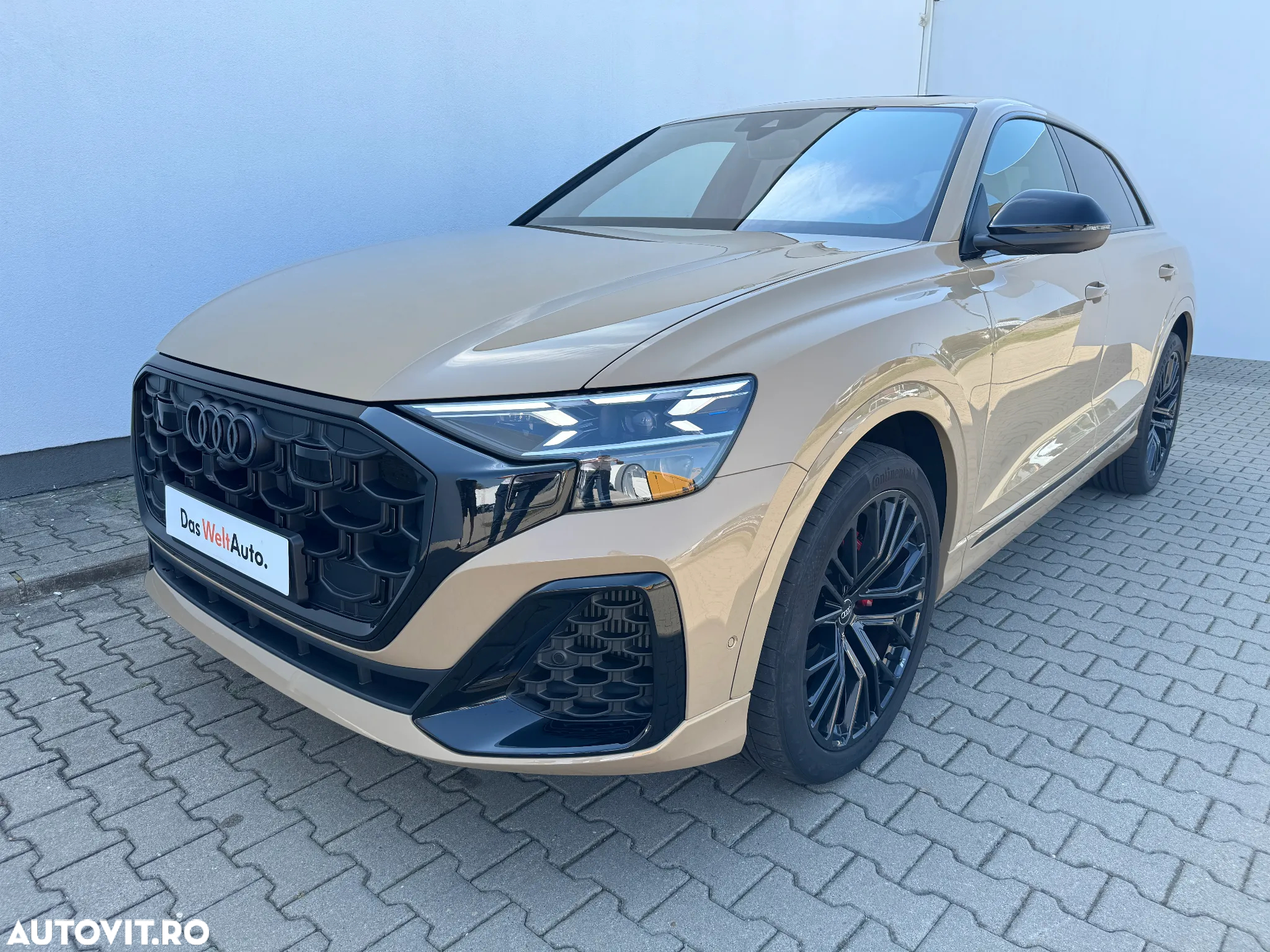 Audi Q8 3.0 55 TFSI quattro Tiptronic MHEV - 24