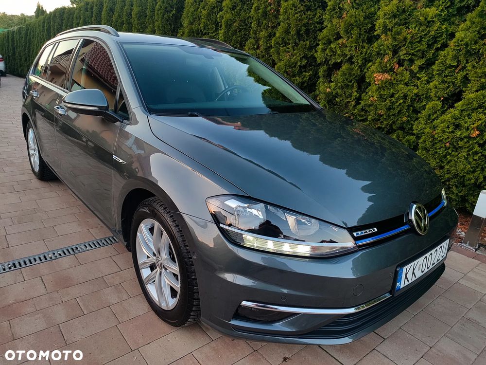 Volkswagen Golf 1.5 TSI ACT OPF BlueMotion Highline - 24