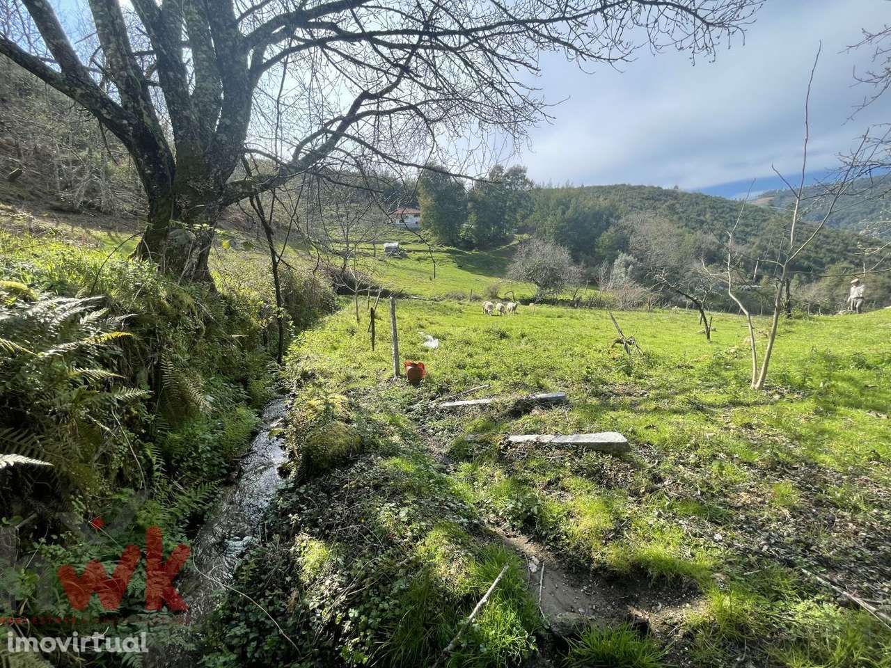 Quinta com 3 hectares com ribeiro e poço de água - Grande imagem: 3/23