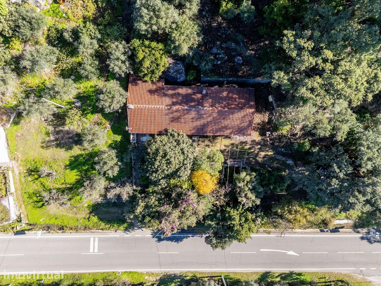 Moradia T3 na Serra de Monchique com Ambiente Rural e Privacidade Tota - Grande imagem: 2/40