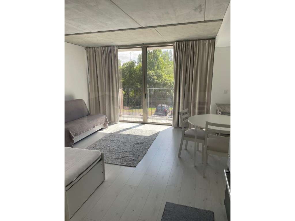 T0 para arrendamento Aveiro - Forca - Grande imagem: 3/15