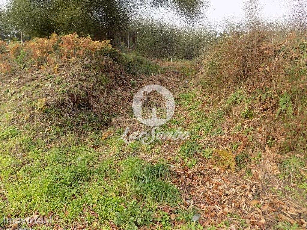 Lote de terreno p/construção de moradia individual c/372m2- Grimanc... - Grande imagem: 3/3