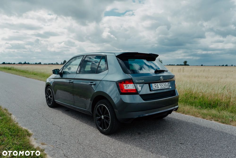 Skoda Fabia 1.4 TDI Monte Carlo - 6