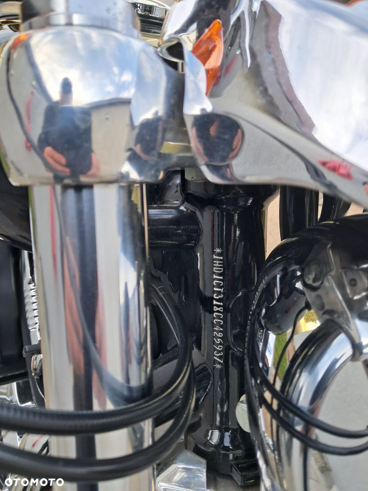 Harley-Davidson Sportster Custom 1200C - 7