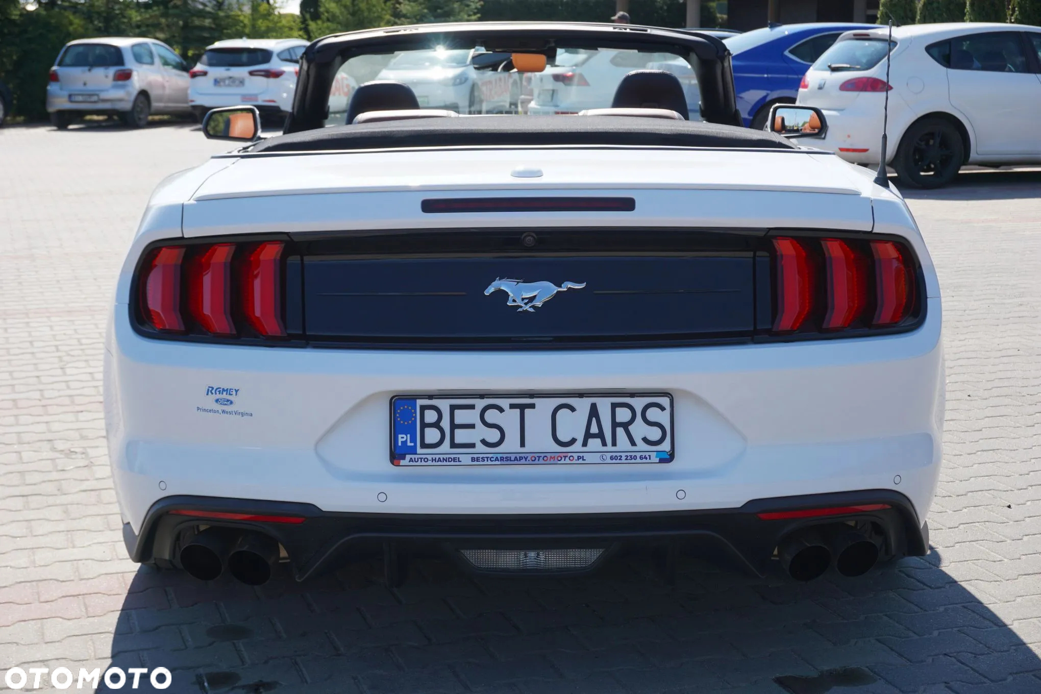Ford Mustang Cabrio 2.3 Eco Boost - 13