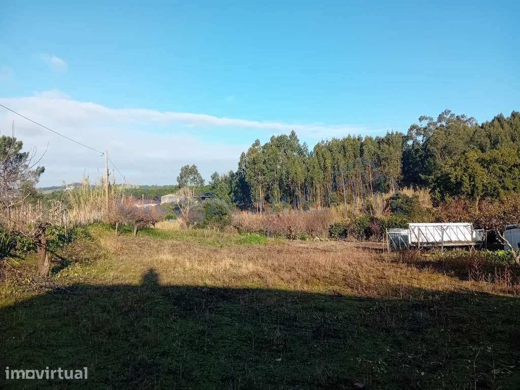 Terreno de 1264m2 com licença levantada em Cortes - Grande imagem: 5/13