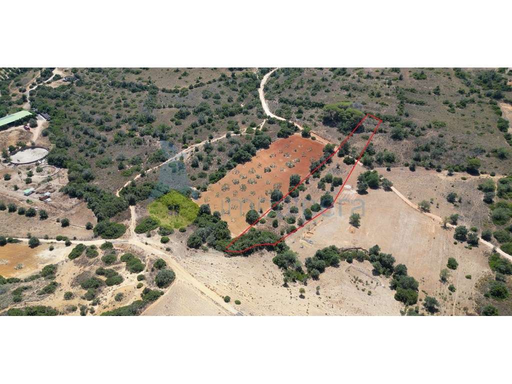 Terreno rustico perto Vila Pera - Grande imagem: 2/5