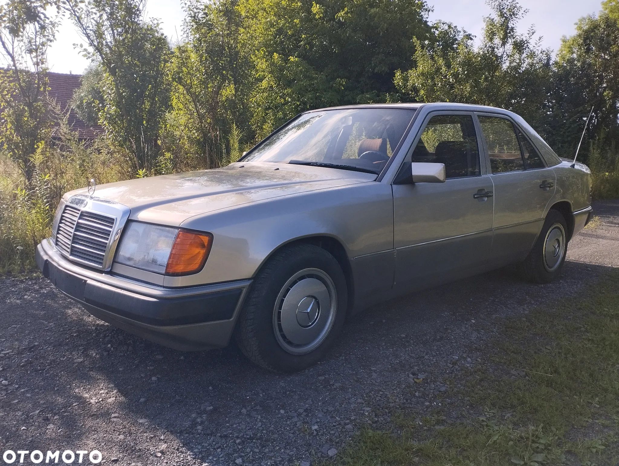 Mercedes-Benz W124 (1984-1993) - 1
