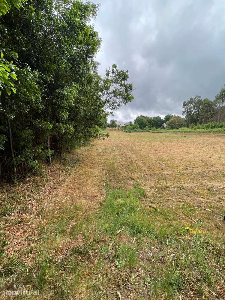 Terreno em Nogueira com Vista para a Montanha - Grande imagem: 4/12