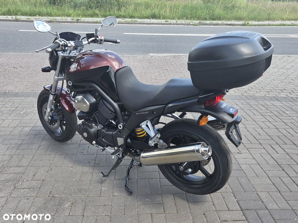 Yamaha Bulldog - 8