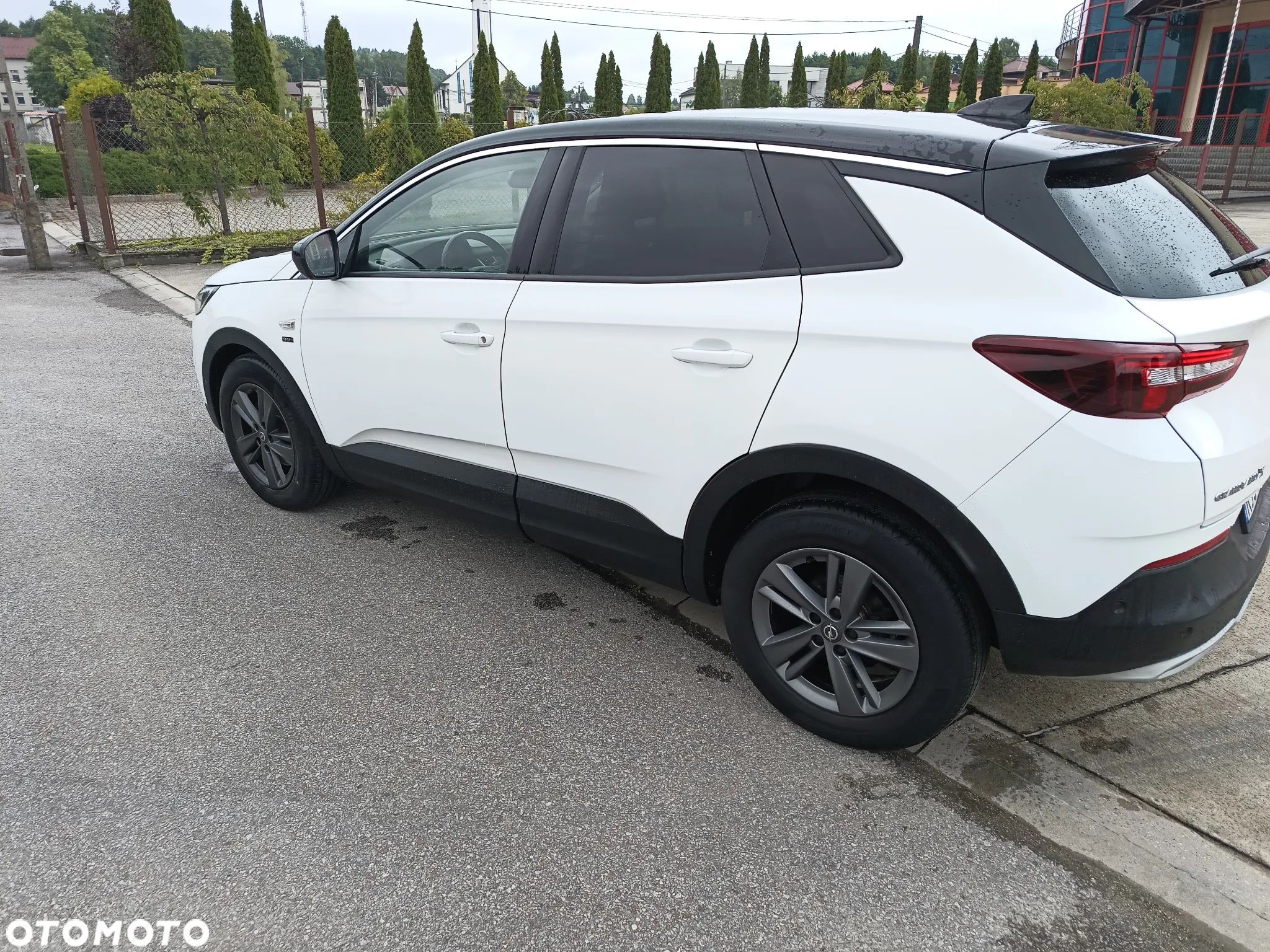 Opel Grandland X 1.2 T GPF Edition Business Pack S&S - 1