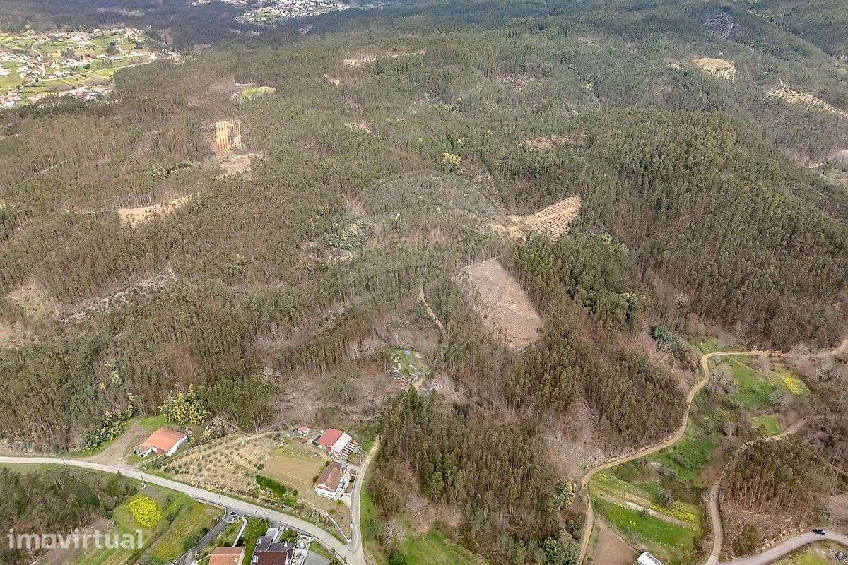 Terreno  para venda - Vista 2
