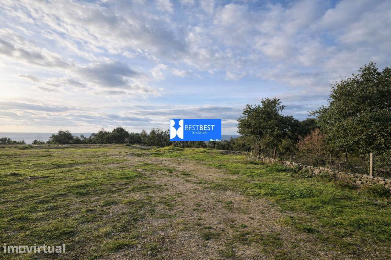 TERRENO COM 10.031  M2 EM BURGAES, SANTO TIRSO - Grande imagem: 5/11
