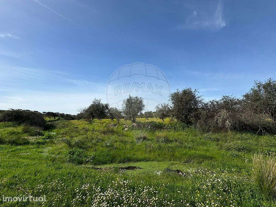 Terreno  para venda - Grande imagem: 2/4