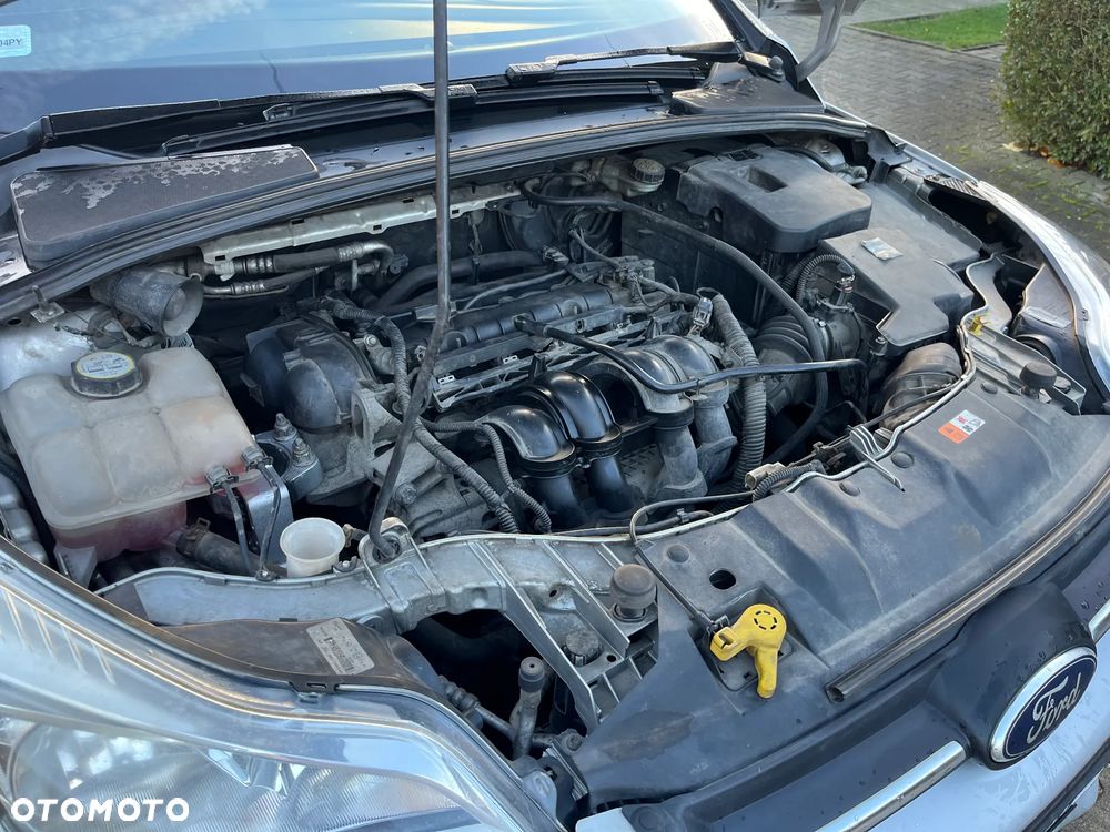 Ford Focus 1.6 Gold X (Trend) - 19