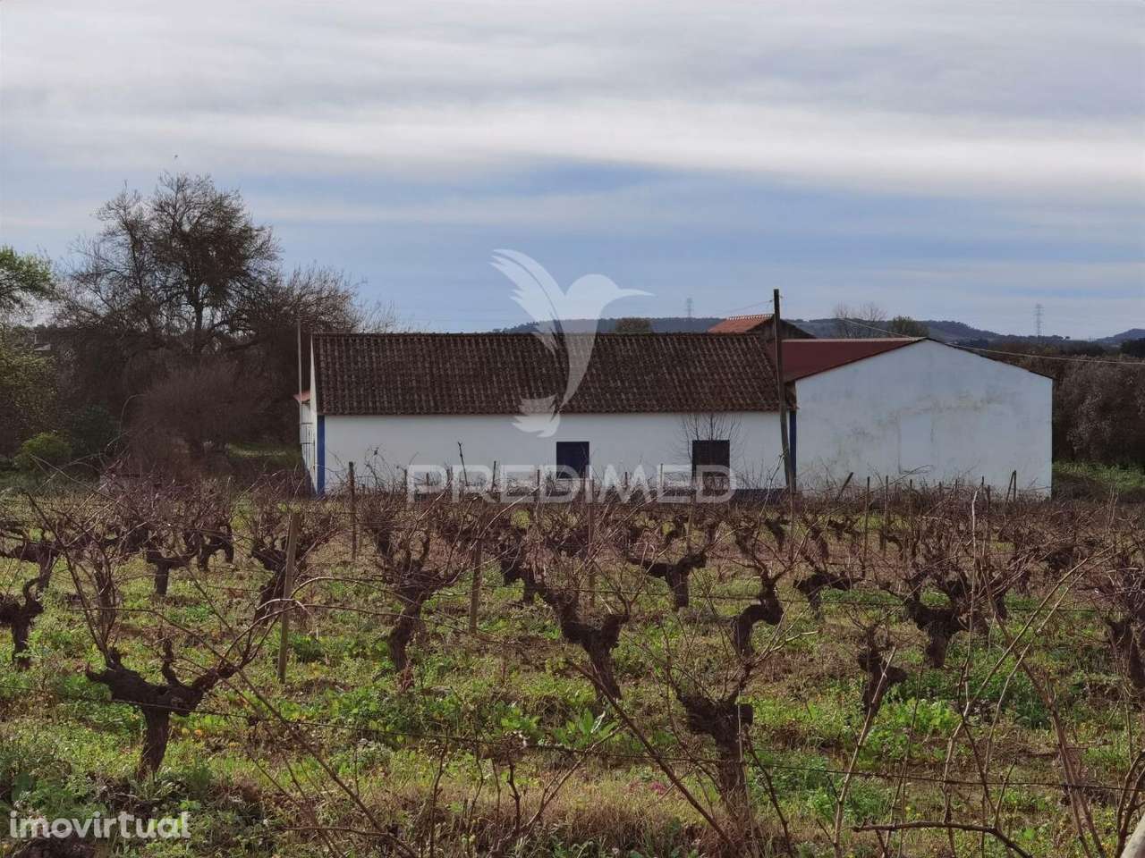 Deslumbrante Quinta , localizada em pleno Ribatejo Casével / Santarém - Grande imagem: 2/40