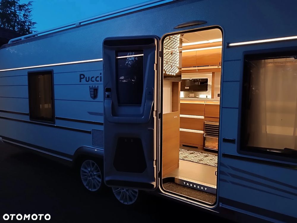 Tabbert Puccini - 14